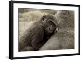 Security-Susann Parker-Framed Photographic Print