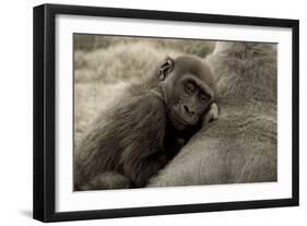 Security-Susann Parker-Framed Photographic Print