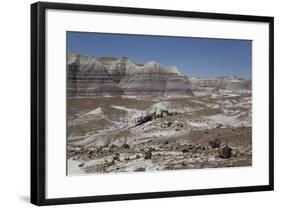 Sedimentary Layers of Bluish Bentonite Clay with Petrified Wood-Richard Maschmeyer-Framed Photographic Print