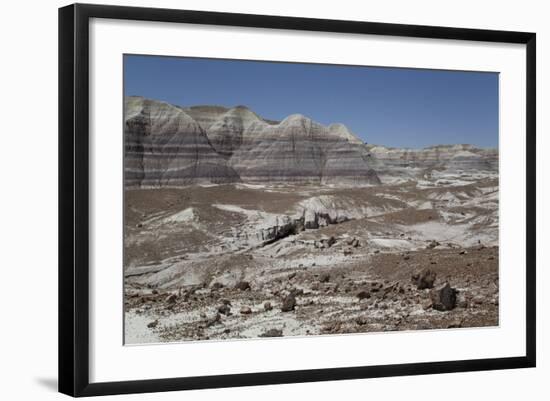 Sedimentary Layers of Bluish Bentonite Clay with Petrified Wood-Richard Maschmeyer-Framed Photographic Print