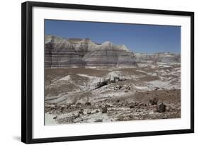 Sedimentary Layers of Bluish Bentonite Clay with Petrified Wood-Richard Maschmeyer-Framed Photographic Print