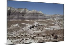 Sedimentary Layers of Bluish Bentonite Clay with Petrified Wood-Richard Maschmeyer-Mounted Photographic Print