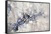 Sedimentary Layers-Kari Taylor-Framed Stretched Canvas