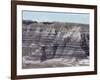 Sedimentary Rocks, Clay, Colour Banded by Iron Oxides, Blue Mesa-Tony Waltham-Framed Photographic Print