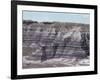 Sedimentary Rocks, Clay, Colour Banded by Iron Oxides, Blue Mesa-Tony Waltham-Framed Photographic Print