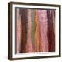 Sedimentary Strata-Micha Pawlitzki-Framed Premium Photographic Print