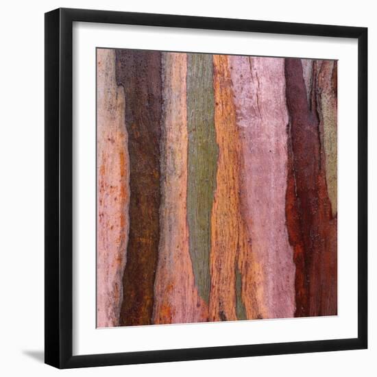 Sedimentary Strata-Micha Pawlitzki-Framed Premium Photographic Print