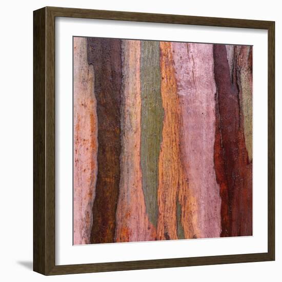 Sedimentary Strata-Micha Pawlitzki-Framed Photographic Print