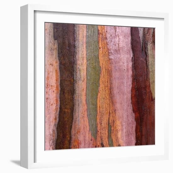 Sedimentary Strata-Micha Pawlitzki-Framed Photographic Print