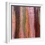 Sedimentary Strata-Micha Pawlitzki-Framed Photographic Print