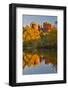 Sedona and the Red Rock Crossing with river reflecting the red rock-Darrell Gulin-Framed Photographic Print