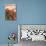 Sedona  Arizona - Snoopy Rock-null-Framed Art Print displayed on a wall
