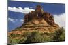 Sedona Bell Rock-null-Mounted Art Print