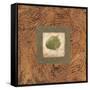 Sedona Naturals A-Zachary Alexander-Framed Stretched Canvas