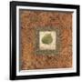 Sedona Naturals A-Zachary Alexander-Framed Art Print