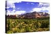 Sedona Valley I-Alan Hausenflock-Stretched Canvas