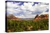 Sedona Valley II-Alan Hausenflock-Stretched Canvas