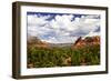 Sedona Valley II-Alan Hausenflock-Framed Photographic Print