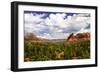 Sedona Valley II-Alan Hausenflock-Framed Photographic Print