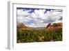 Sedona Valley II-Alan Hausenflock-Framed Photographic Print