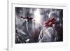 Seduction games-Fabien BRAVIN-Framed Photographic Print