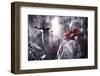 Seduction games-Fabien BRAVIN-Framed Photographic Print