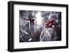 Seduction games-Fabien BRAVIN-Framed Photographic Print