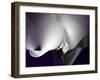 Seductive I-Alan Hausenflock-Framed Art Print