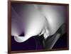 Seductive I-Alan Hausenflock-Framed Art Print