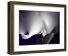 Seductive I-Alan Hausenflock-Framed Art Print