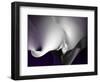 Seductive I-Alan Hausenflock-Framed Art Print