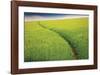 Seductive Path-Michael Hudson-Framed Giclee Print