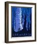 See America-Alexander Dux-Framed Art Print