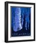 See America-Alexander Dux-Framed Art Print