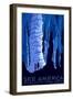 See American Travel Poster, Caverns-null-Framed Art Print