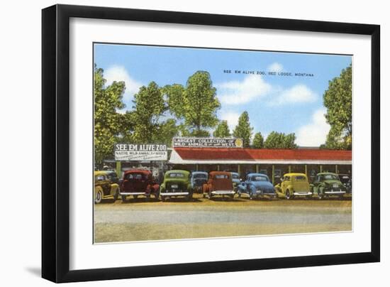 See 'Em Alive Zoo, Red Lodge, Montana-null-Framed Art Print