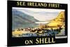 See Ireland First on Shell-null-Stretched Canvas