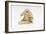 See No Evil, One of the Three Wise Monkeys-Japanese School-Framed Giclee Print