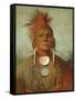 See-Non-Ty-A, an Iowa Medicine Man, 1844-45-George Catlin-Framed Stretched Canvas