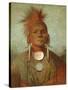 See-Non-Ty-A, an Iowa Medicine Man, 1844-45-George Catlin-Stretched Canvas