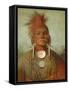 See-Non-Ty-A, an Iowa Medicine Man, 1844-45-George Catlin-Framed Stretched Canvas