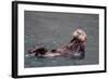 See-Otter in Alaska-Françoise Gaujour-Framed Photographic Print