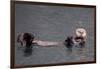 See-Otter in Alaska-Françoise Gaujour-Framed Photographic Print