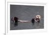 See-Otter in Alaska-Françoise Gaujour-Framed Photographic Print