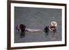 See-Otter in Alaska-Françoise Gaujour-Framed Photographic Print