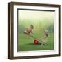 See Saw-Nancy Tillman-Framed Art Print