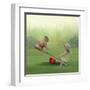 See Saw-Nancy Tillman-Framed Art Print