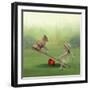 See Saw-Nancy Tillman-Framed Art Print