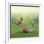 See Saw-Nancy Tillman-Framed Art Print