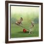 See Saw-Nancy Tillman-Framed Art Print